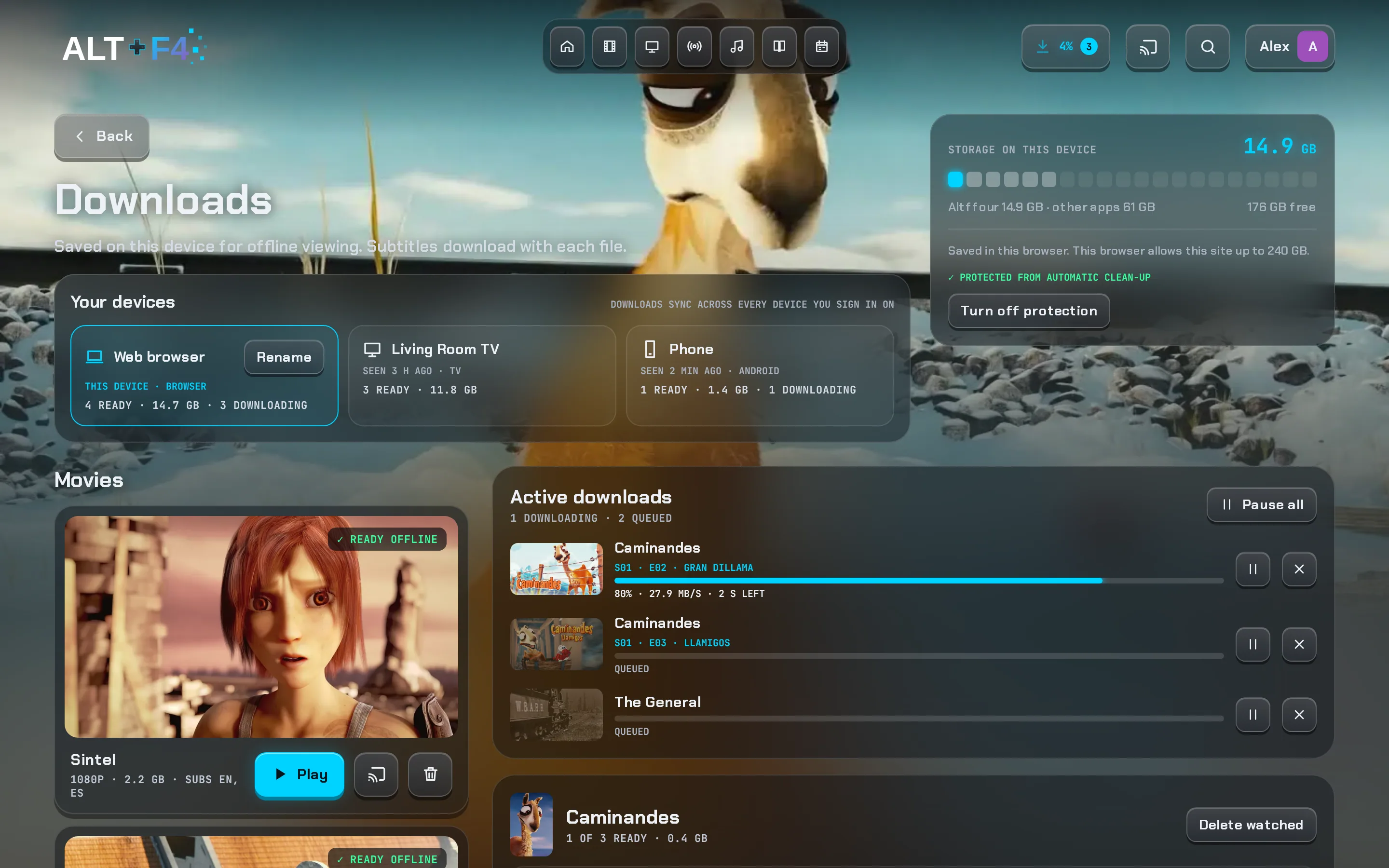 The Downloads screen with saved films, a download in progress and the storage meter